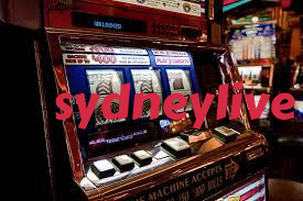 togel55 slide 1