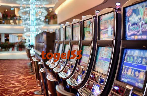 togel55 Result Table — Real-Time Outcomes in One Place