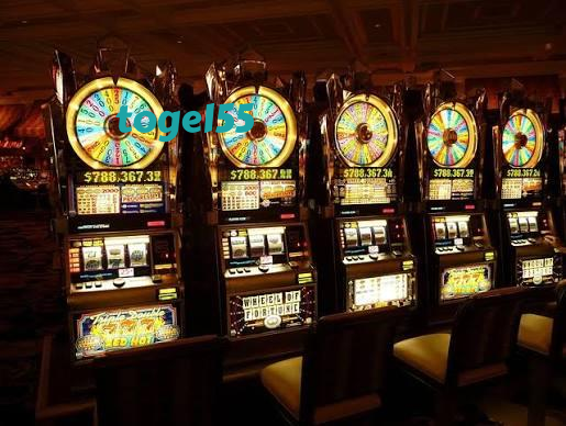 togel55 Live Dealer Tables at Your Fingertips
